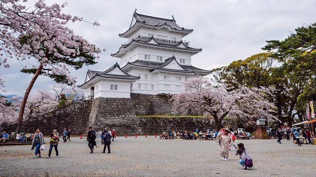 Tokyo Private Tour - Odawara Castle