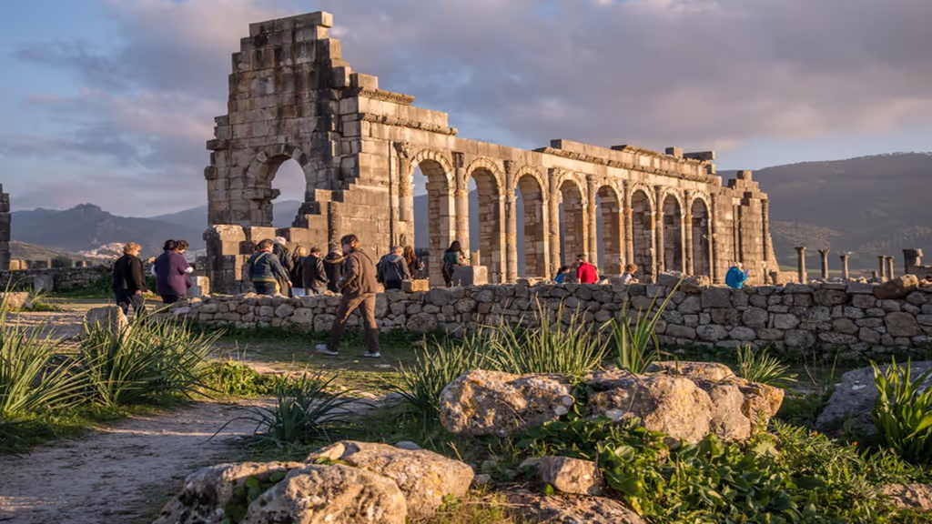 Fes Private Tour - Volubilis