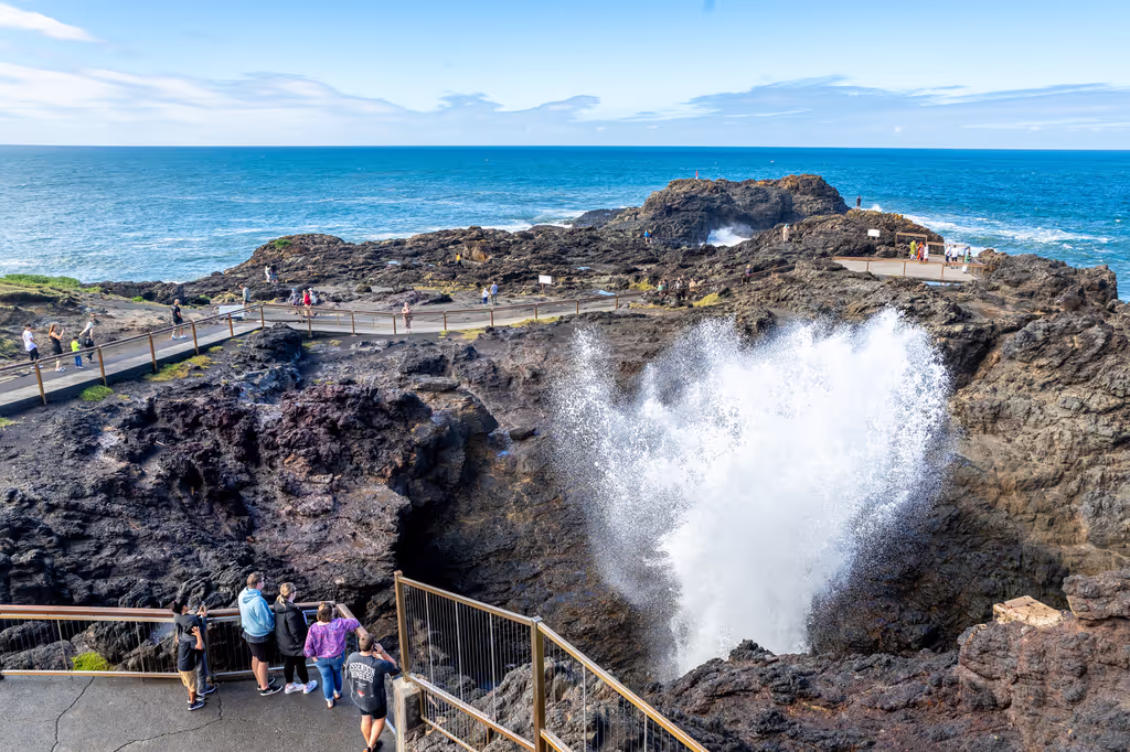 Sydney Private Tour - Kiama Blowhole