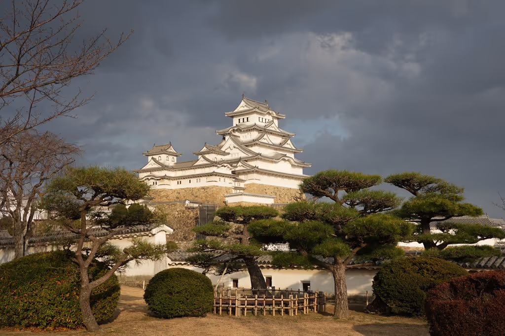 Himeji Private Tour - Himeji Castle