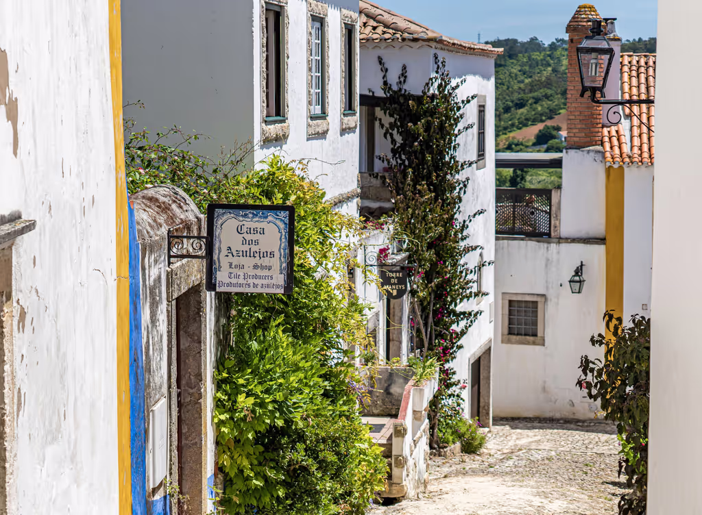 Lisbon Private Tour - Óbidos