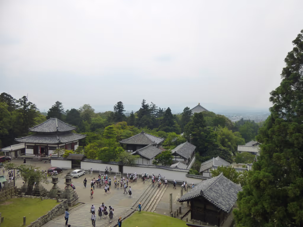 Nara Private Tour - From the top of the hill, a great view!