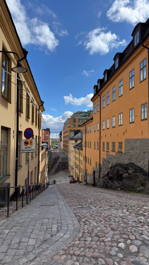 Stockholm Private Tour - Södermalm