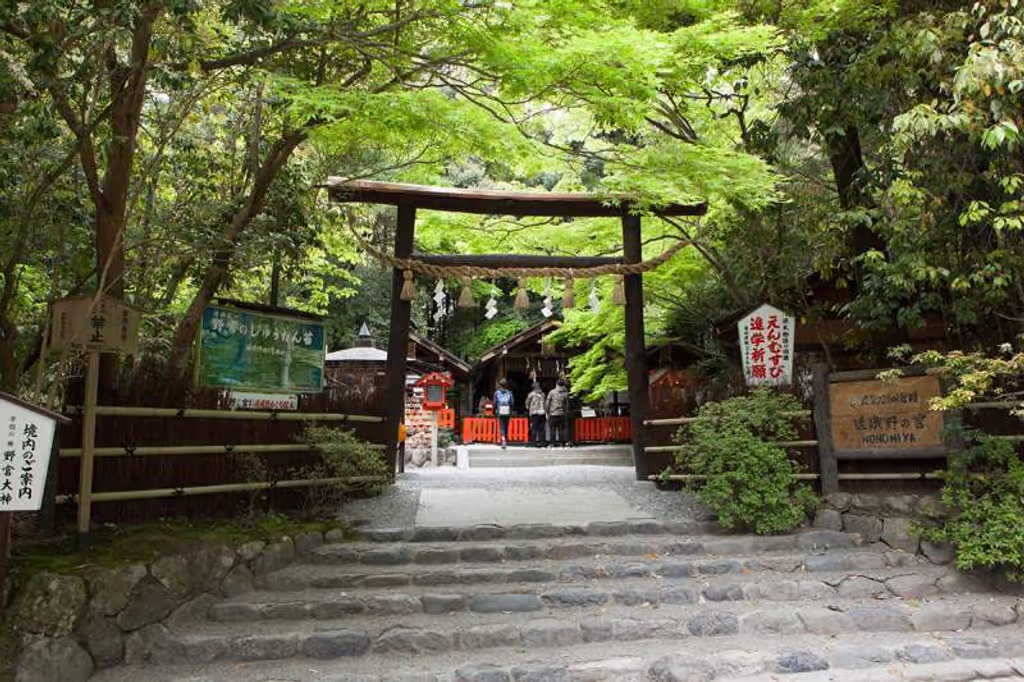 Kyoto Private Tour - The torii gate to Nonomiya Shrine