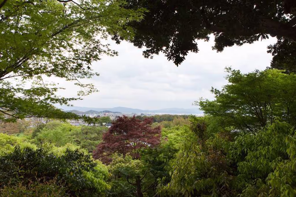 Kyoto Private Tour - A view from the precinct of Jojako-ji Temple