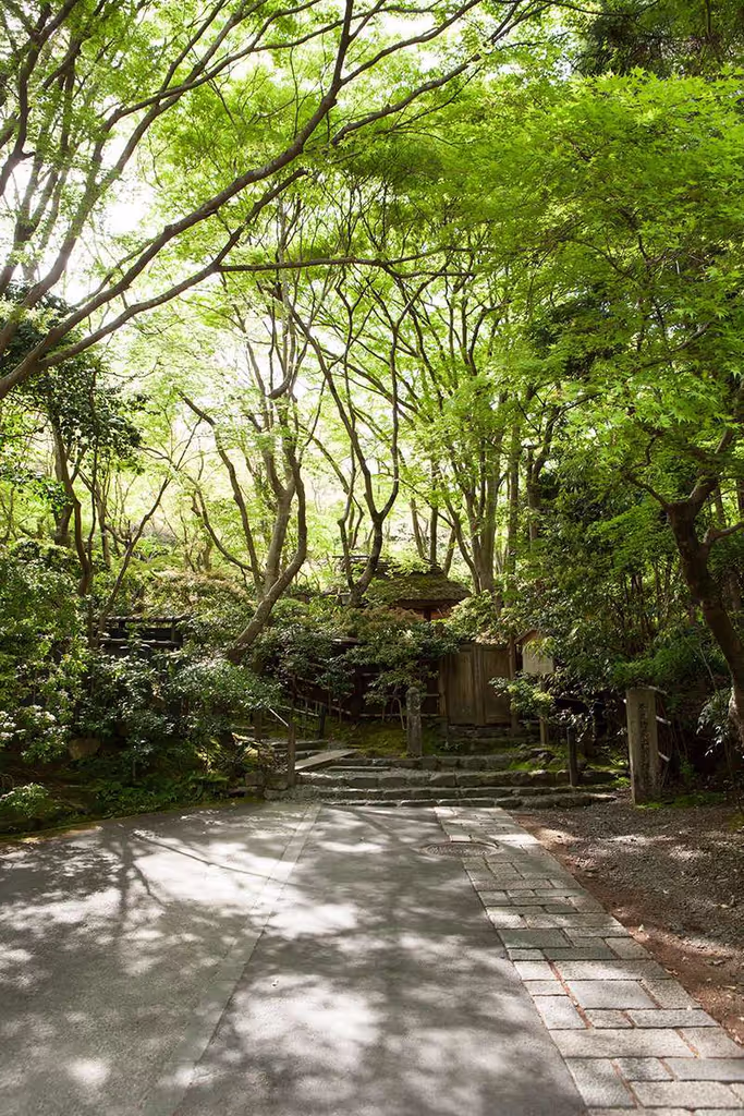 Kyoto Private Tour - At Gioh-ji Temple, Arashiyama