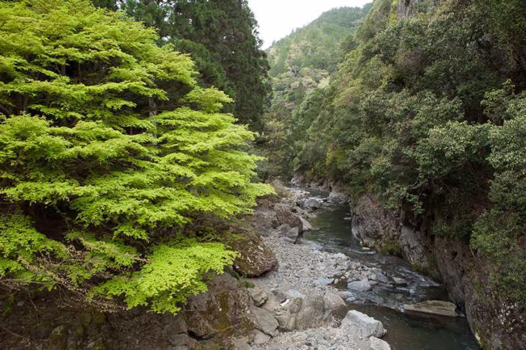 Kyoto Private Tour - On the way to Kiyotaki
