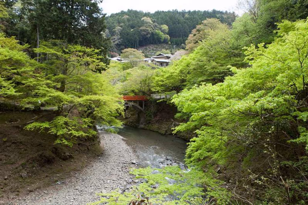 Kyoto Private Tour - On the way to Jingo-ji Temple, Takao