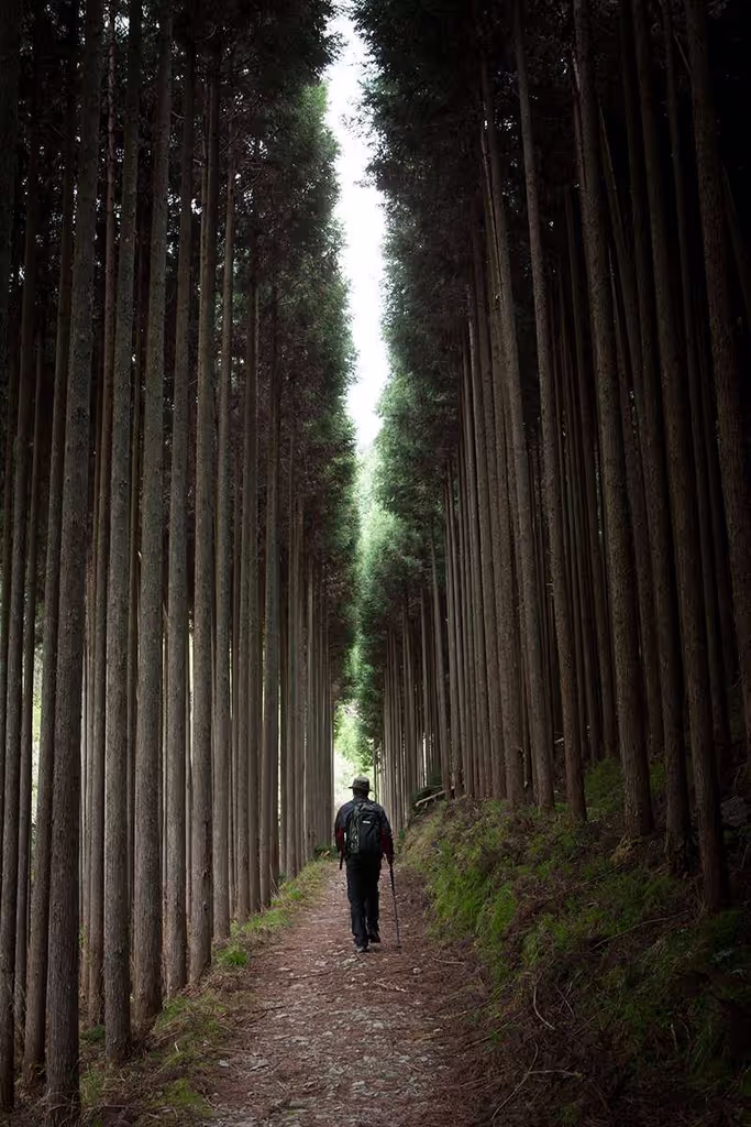 Kyoto Private Tour - On the way to Kiyotaki