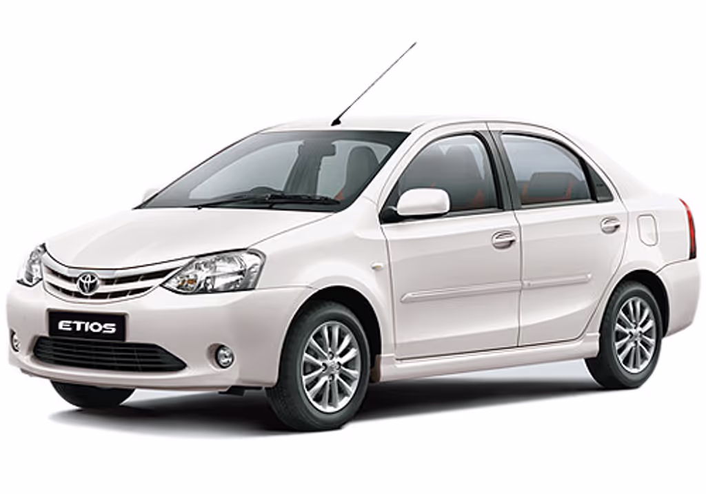 Delhi Private Tour - This car will be used for 01 person.