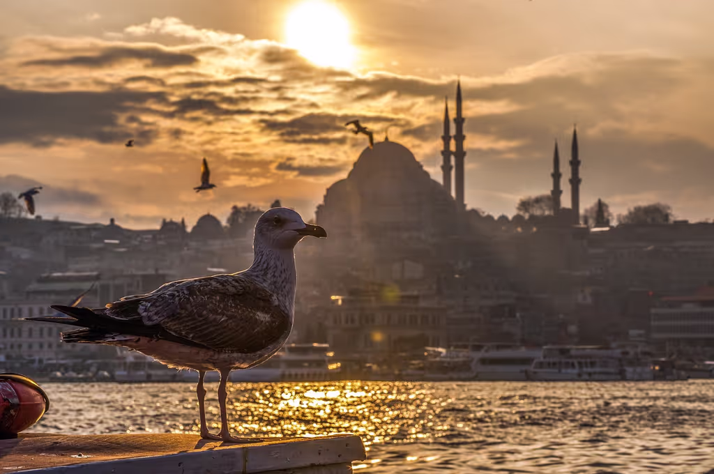 Istanbul Private Tour - 