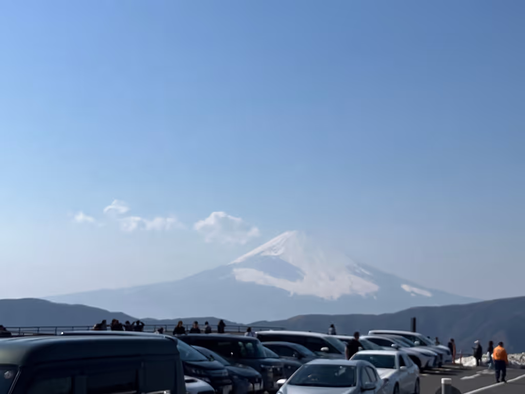 Tokyo Private Tour - View of Mt Fuji from Owakudani