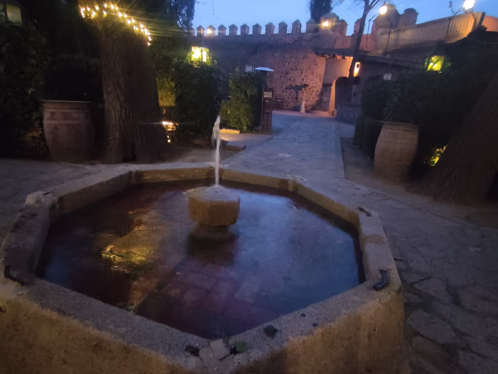 Madrid Private Tour - TERRACE OF THE <CARDENAL>