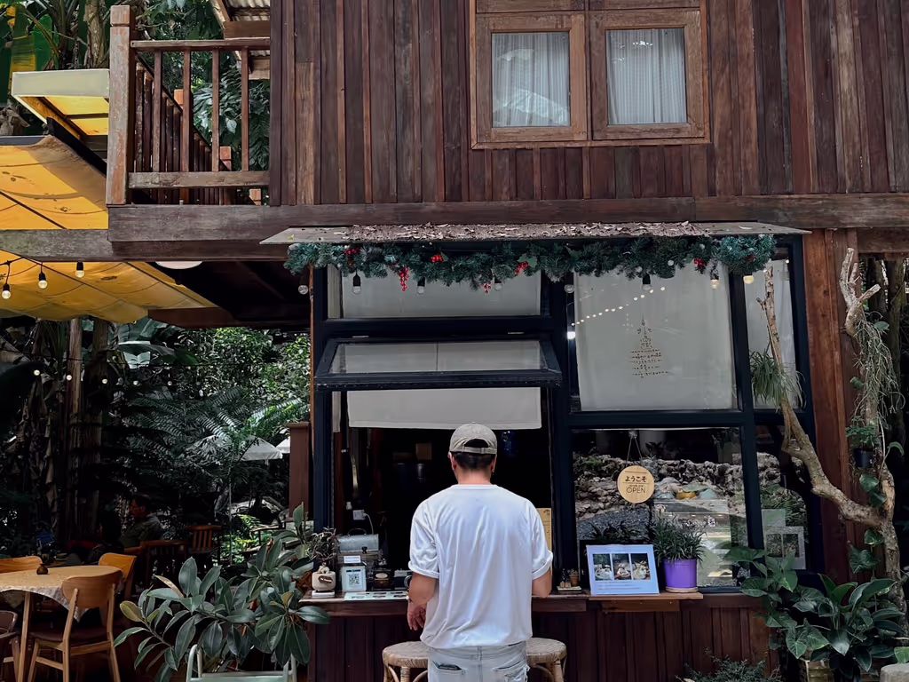 Chiang Mai Private Tour - At the Cafe'