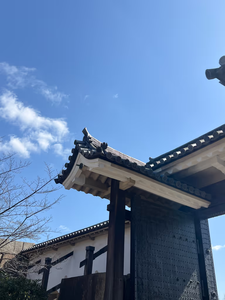 Osaka Private Tour - 