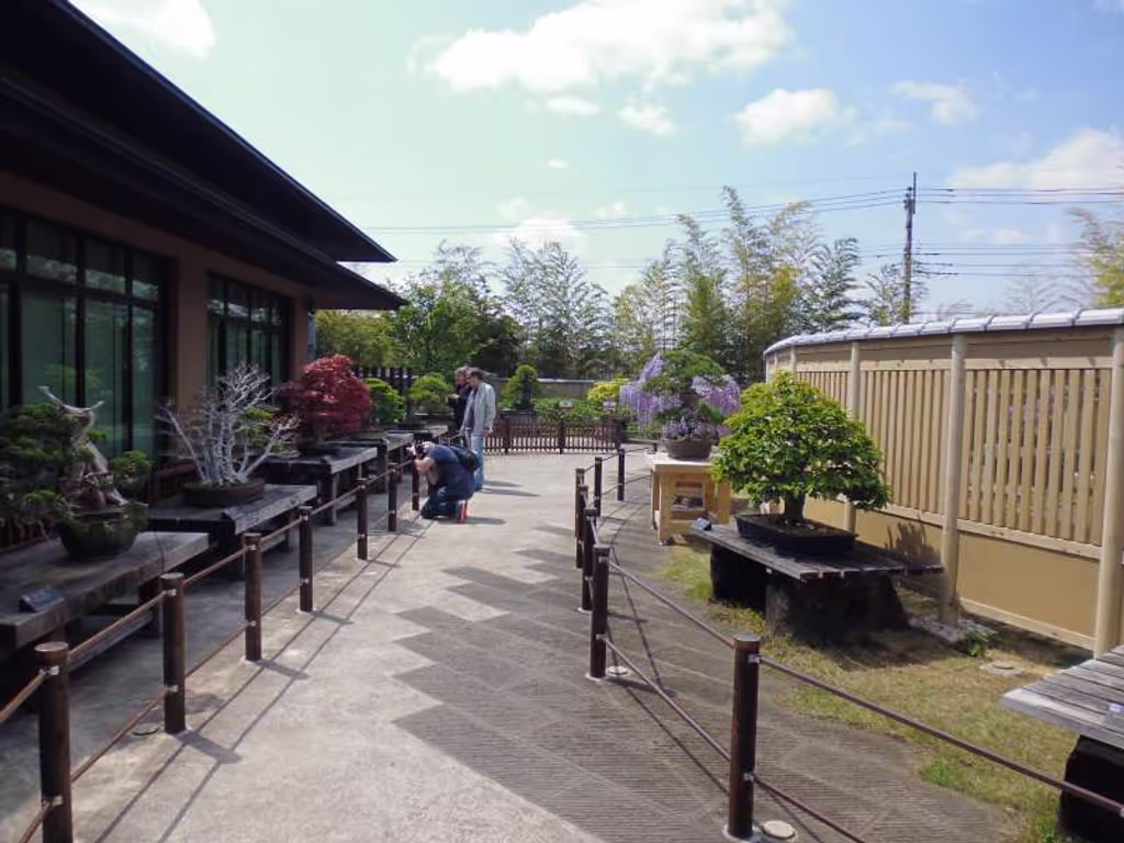 Saitama Private Tour - The courtyard of Bonsai Art Museum