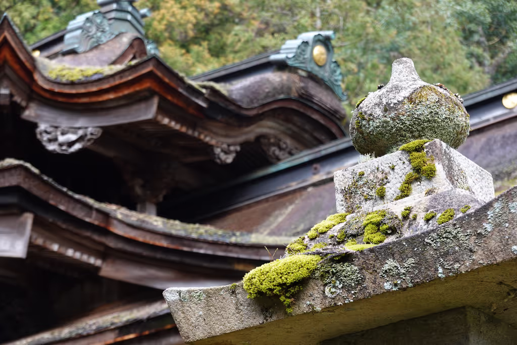 Fukui Private Tour - Most Complicated shrine roofs all over Japan