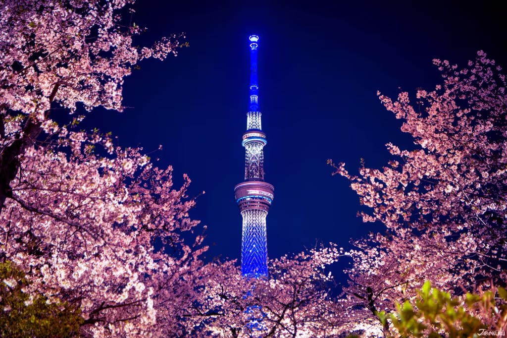 Tokyo Private Tour - Sumida River Cherry Blossoms