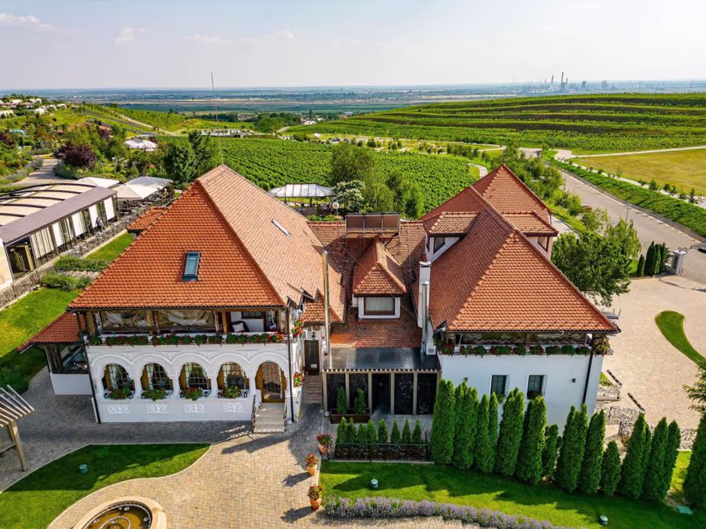 Bucharest Private Tour - traditional manor in the vineyards