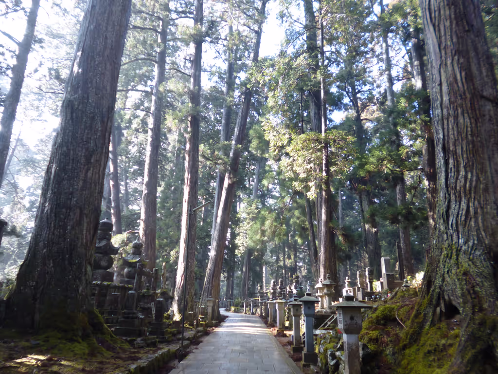 Mount Koya Private Tour - Okunoin