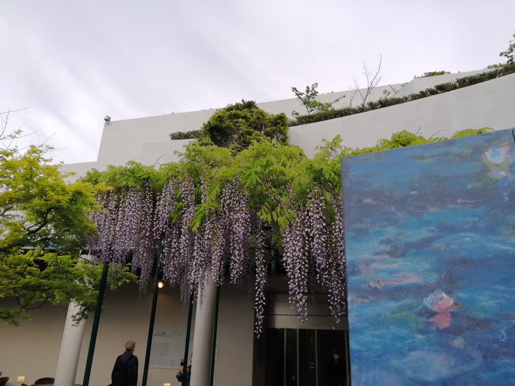Tokushima Private Tour - Monet's Waterlilies at Otsuka Museum of Art