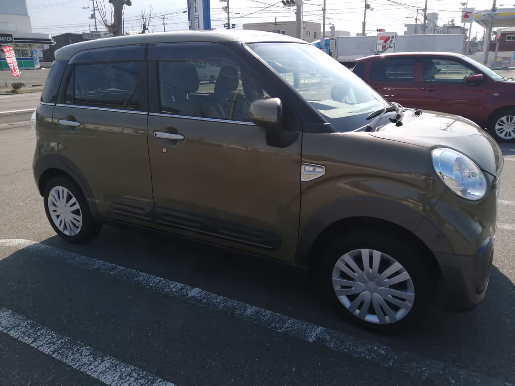 Tokushima Private Tour - My Car