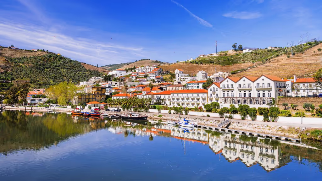 Porto Private Tour - Pinhão