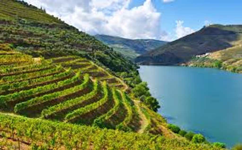 Porto Private Tour - Douro amasing vineyards landscape