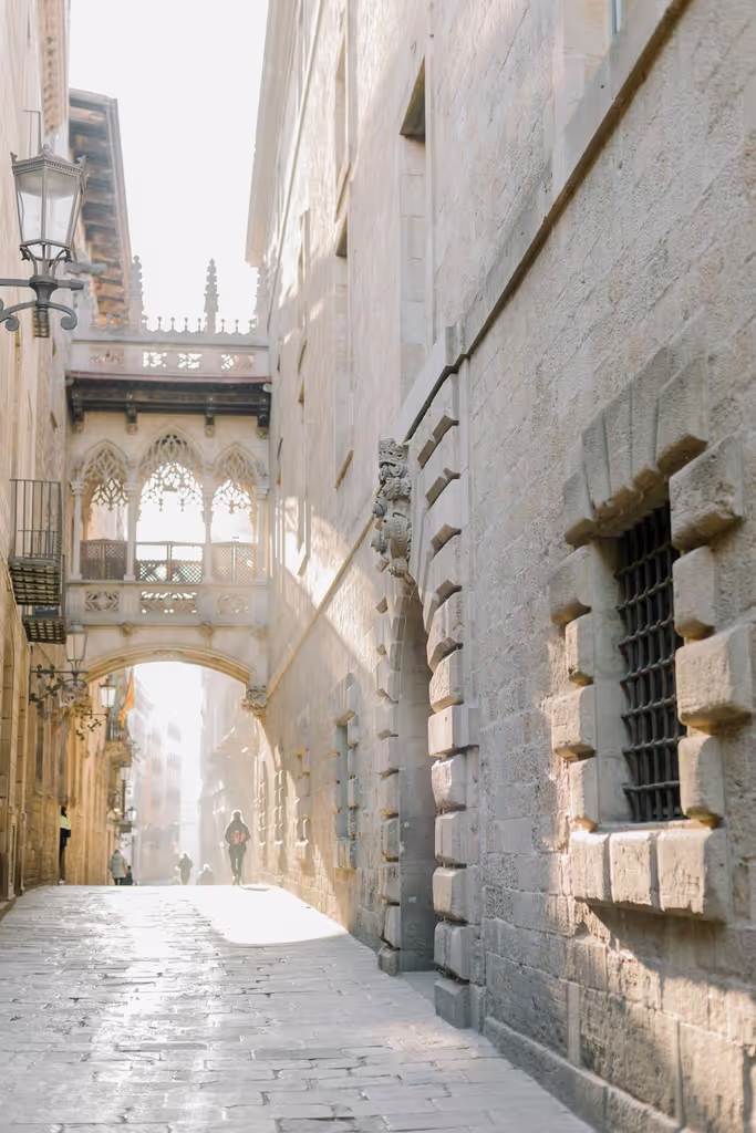 Barcelona Private Tour - Gothic Style