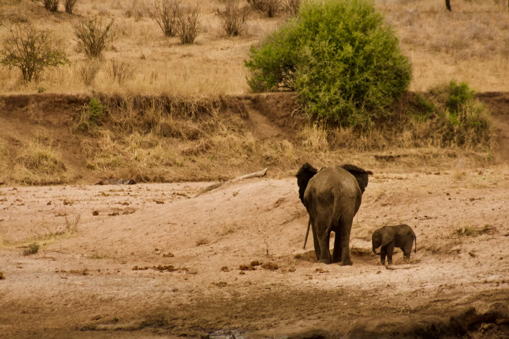 Kilimanjaro Private Tour - 