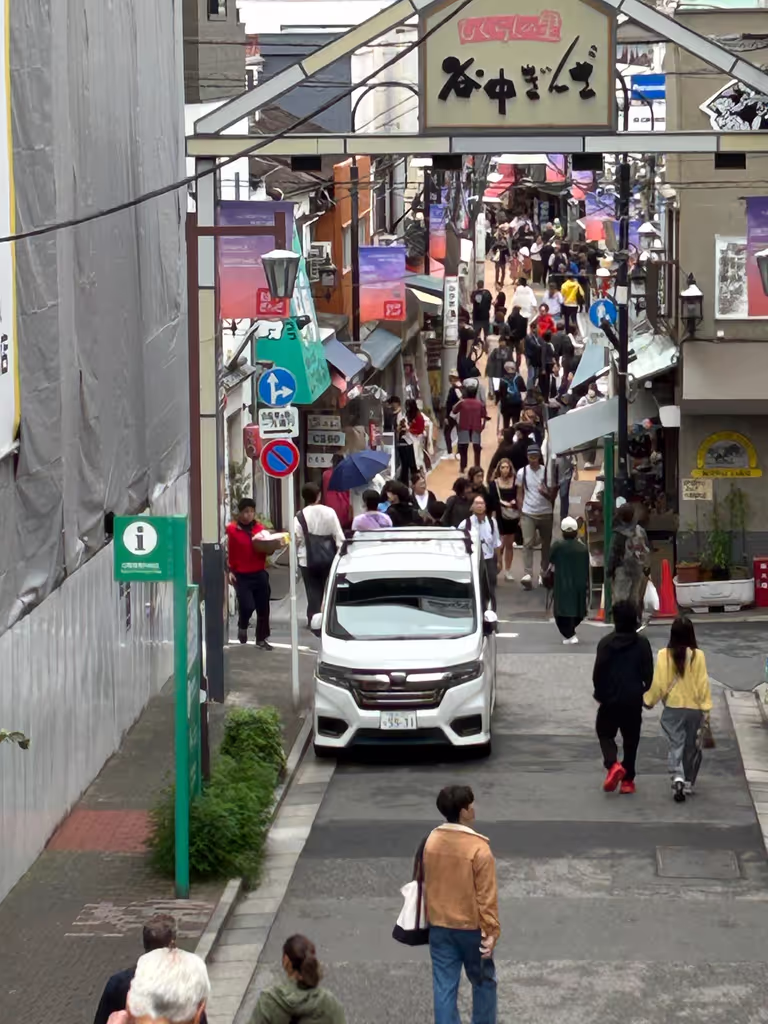 Tokyo Private Tour - commoners’ shopping street