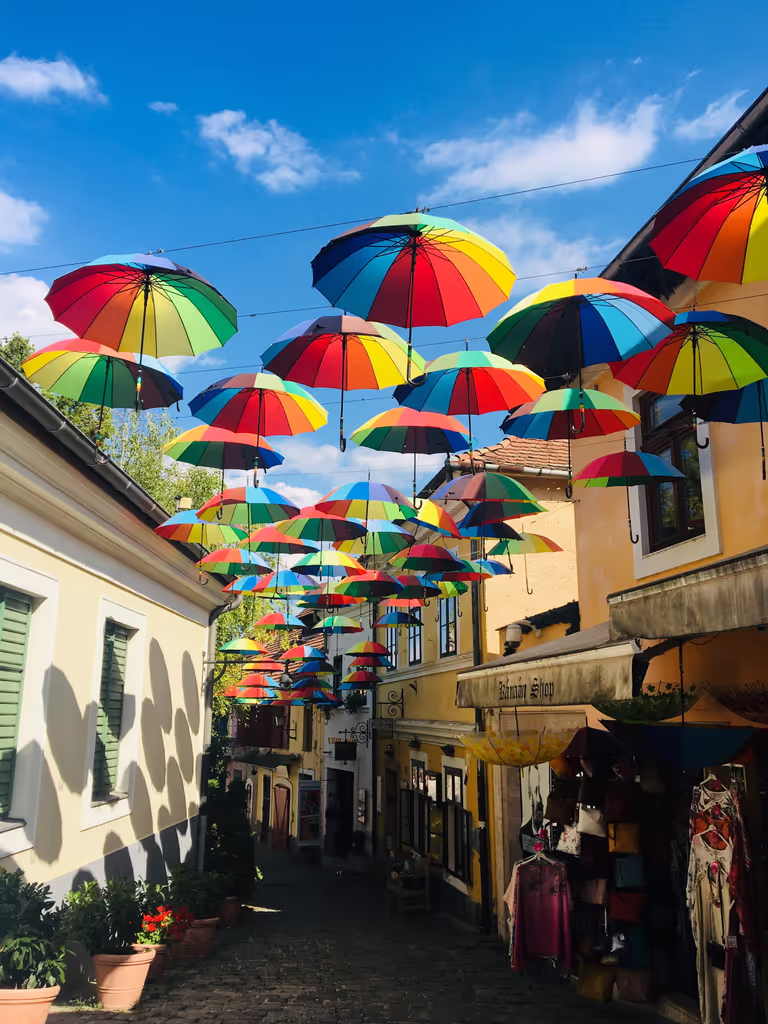 Budapest Private Tour - Szentendre