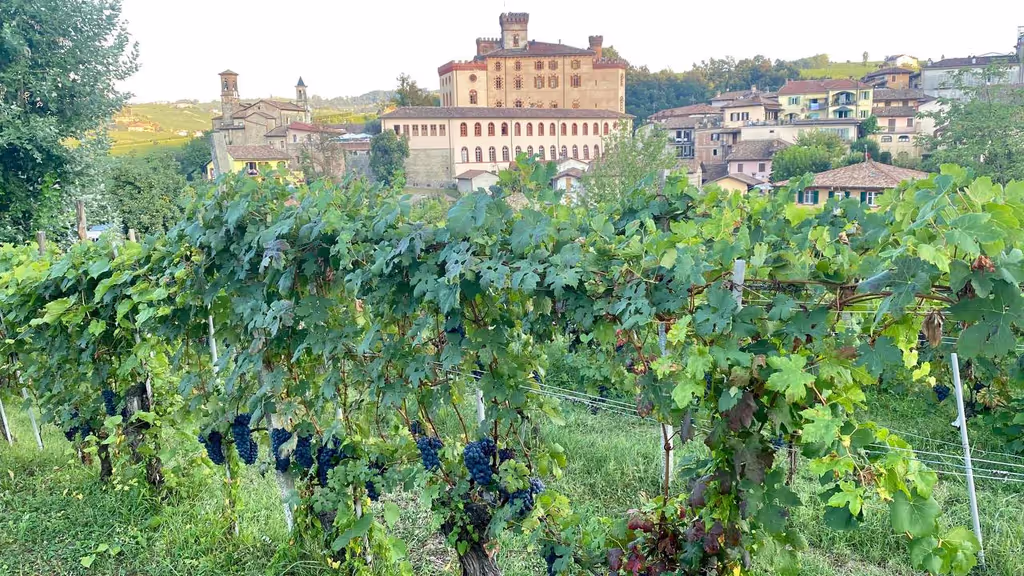 Barolo Private Tour - 