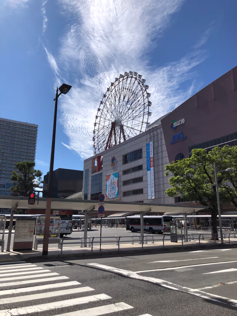 Kagoshima Private Tour - 