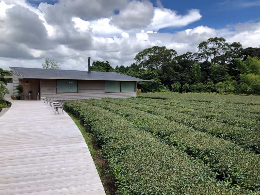Kagoshima Private Tour - A cafe in the middle of a green tea field