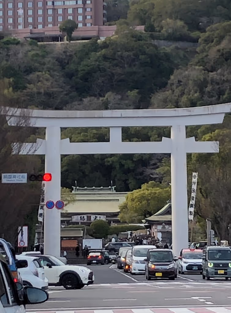 Kagoshima Private Tour - The large torii gate of Terukuni Shrine