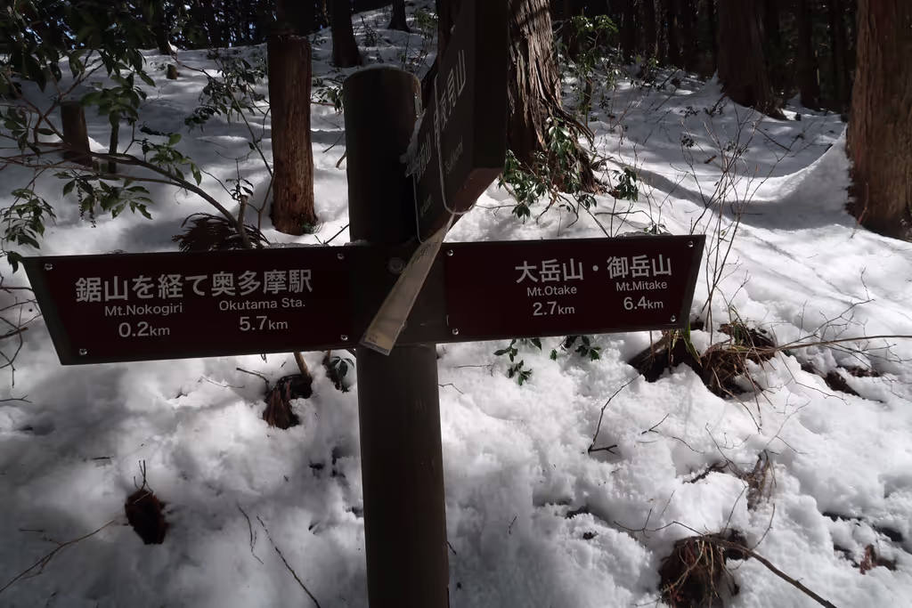 Tokyo Private Tour - Trail guides