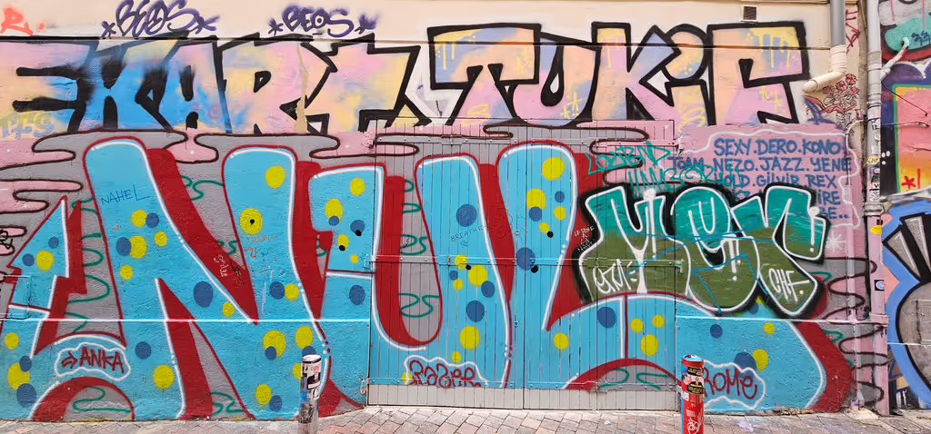 Marseille Private Tour - Street arts by fabled artists.