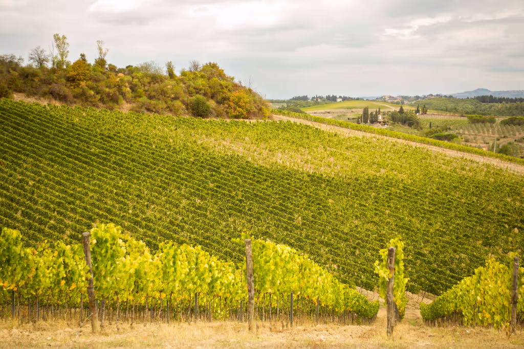 Florence Private Tour - 