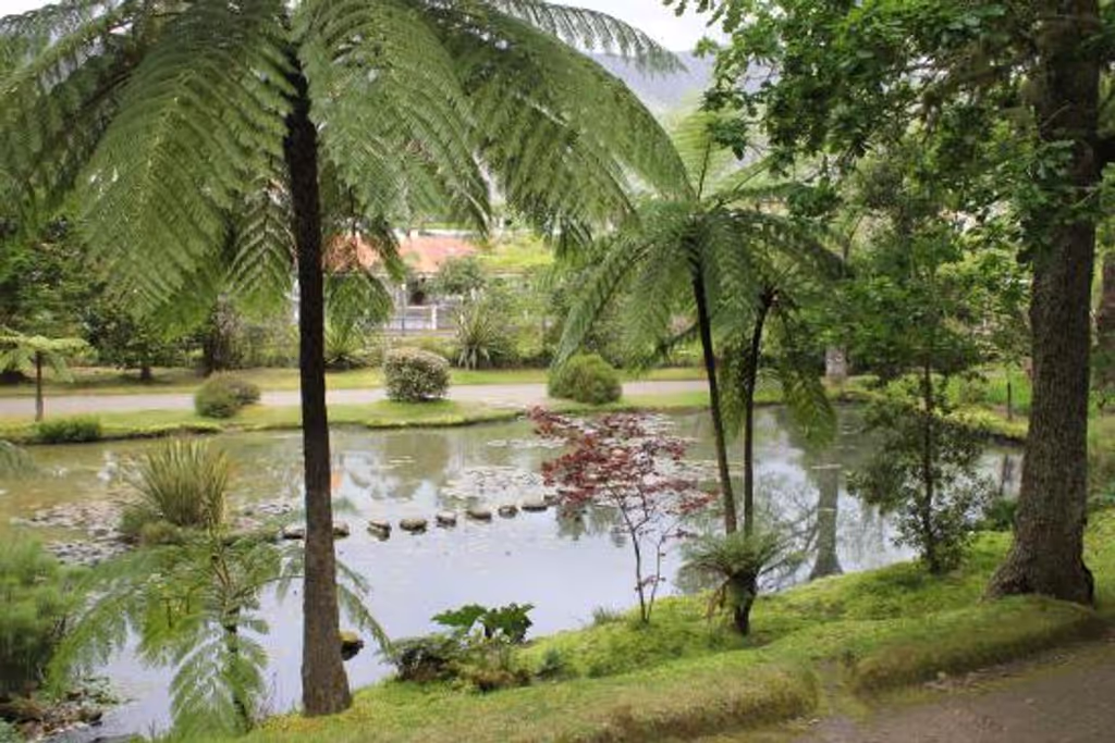 Azores Private Tour - Terra Nostra botanical Garden