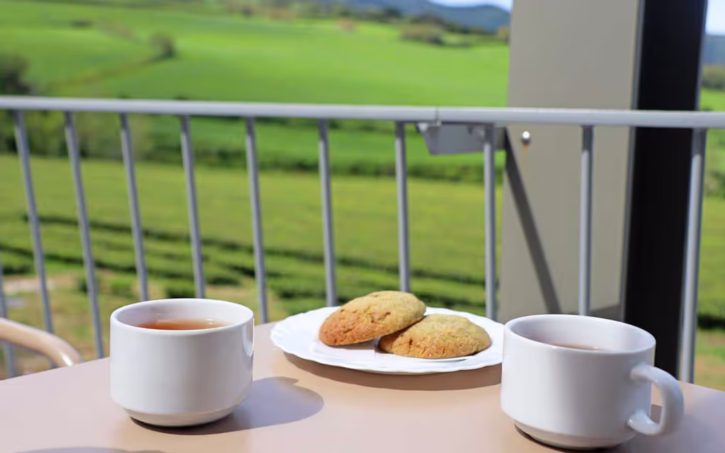 Azores Private Tour - Pleasant moment