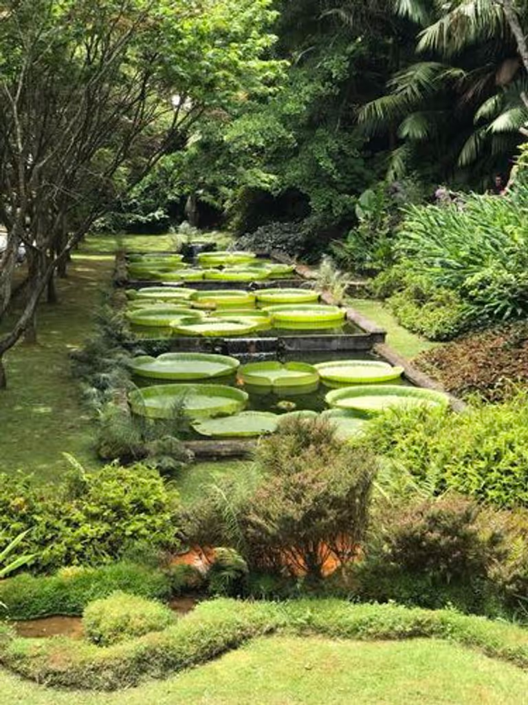 Azores Private Tour - Water Lili's