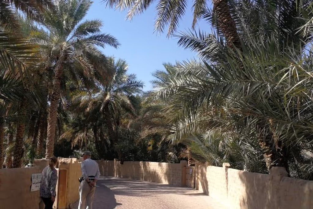 Abu Dhabi Private Tour - Al Ain Oasis