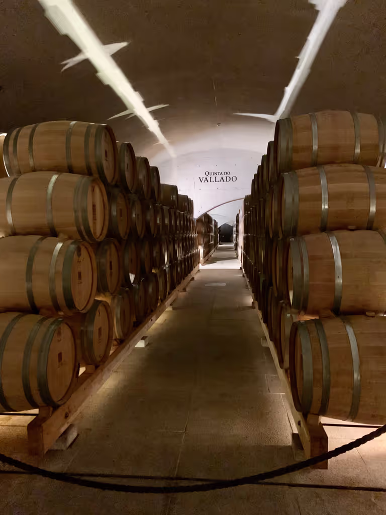 Porto Private Tour - Quinta do Vallado