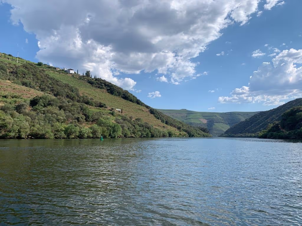 Porto Private Tour - Douro River
