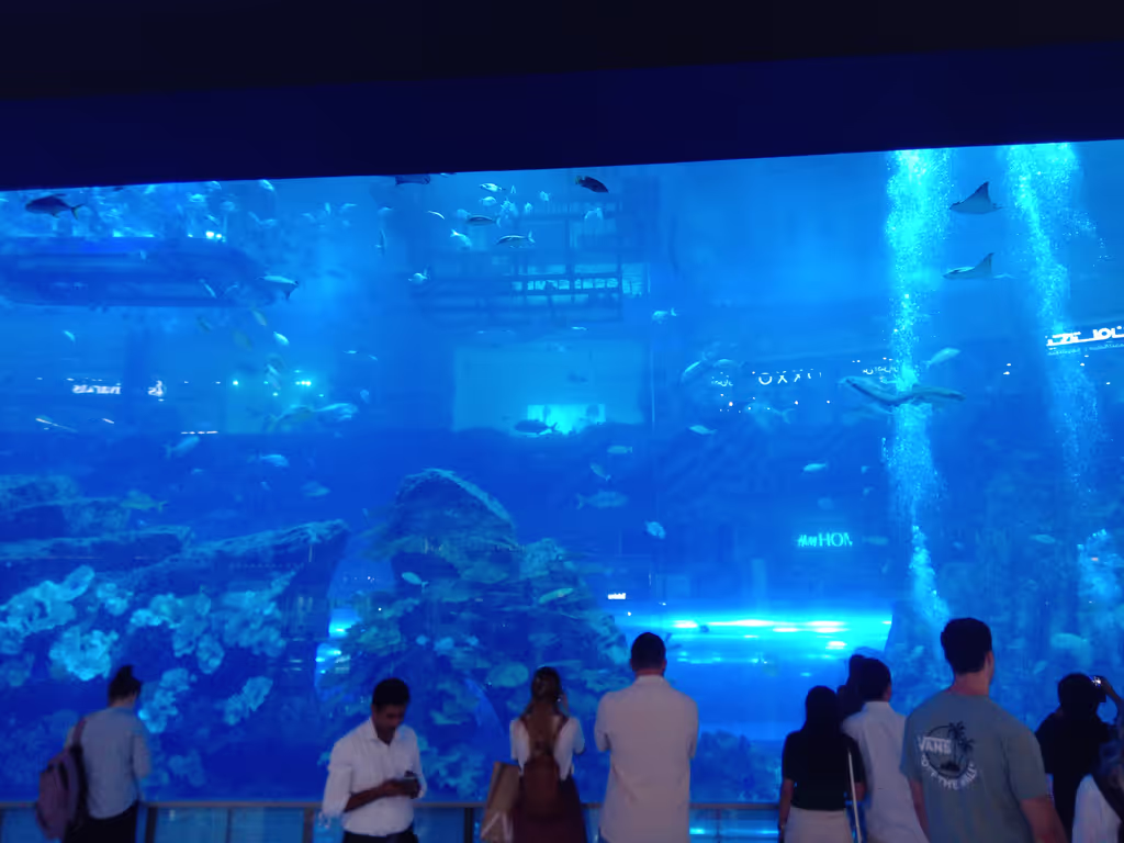 Dubai Private Tour - Dubai Aquarium