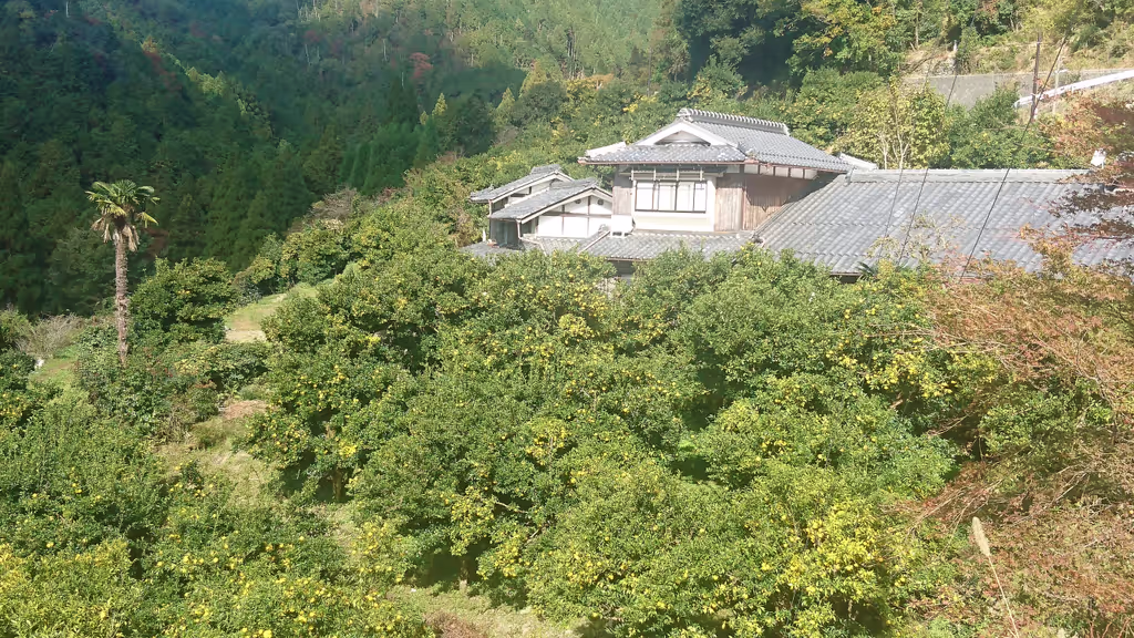 Kyoto Private Tour - Mizuo Shrine