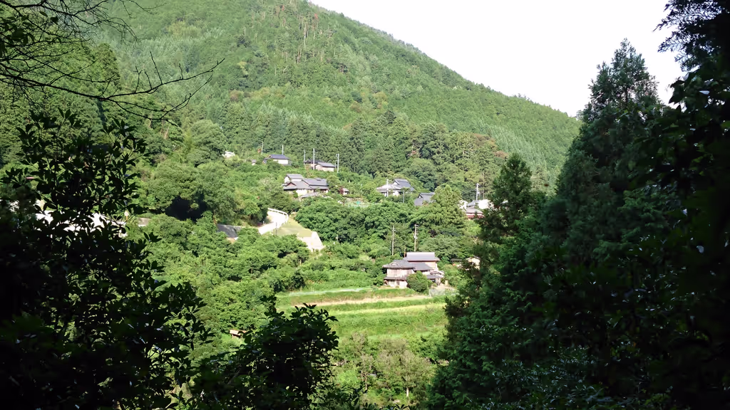 Kyoto Private Tour - Otagi Nenbutsuji