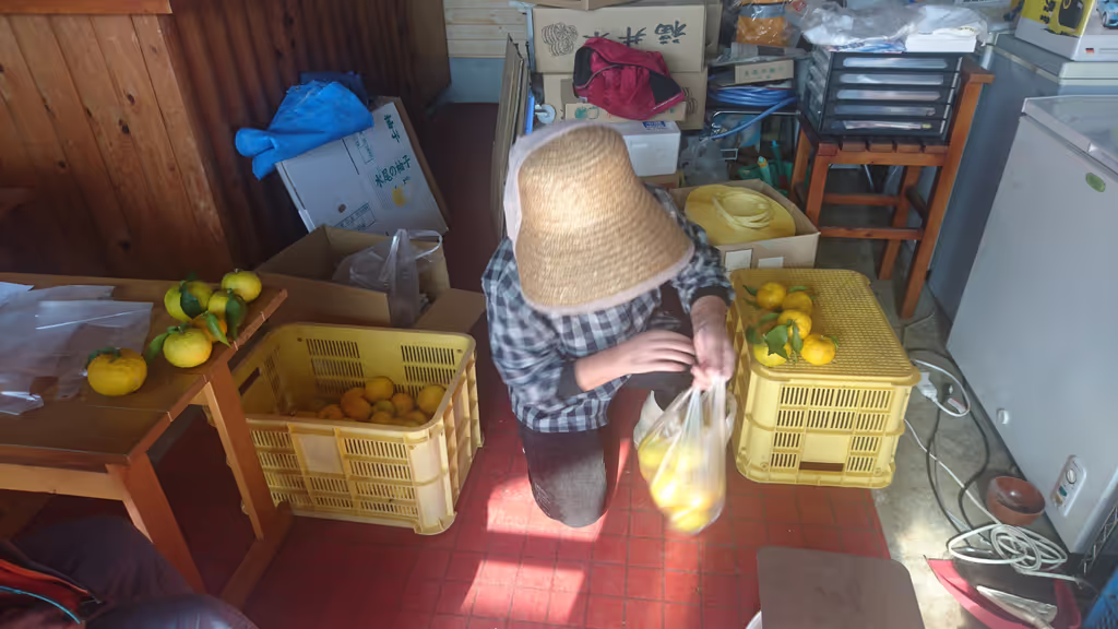 Kyoto Private Tour - A woman selling Yuzu citurus