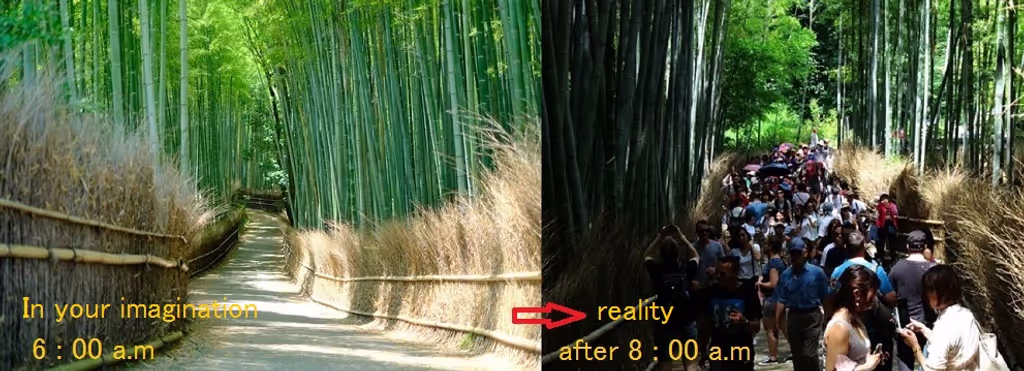Kyoto Private Tour - My advice to bamboo forest is just this one photo.